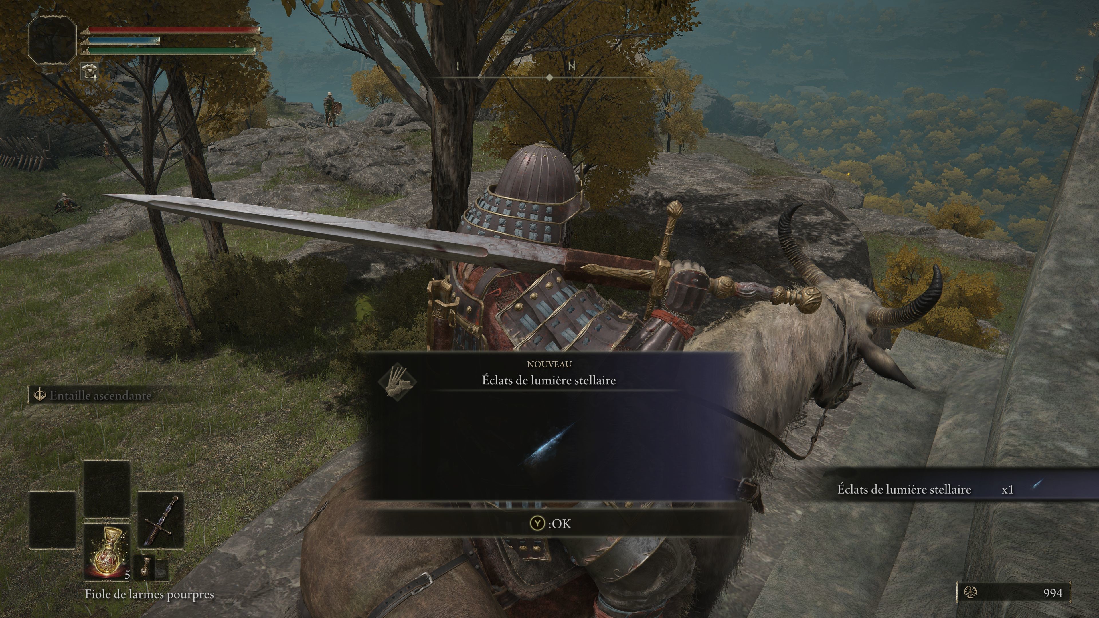 Seluvis Dead Elden Ring 05 - dcgz91c