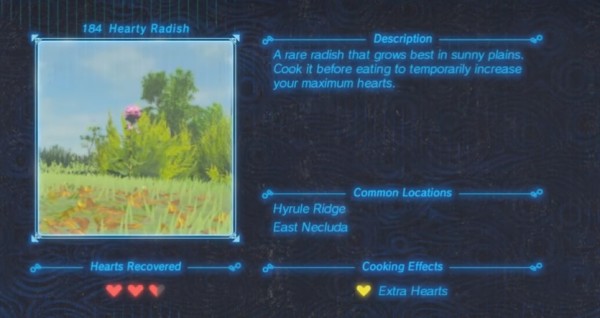 Zelda : Breath of the Wild