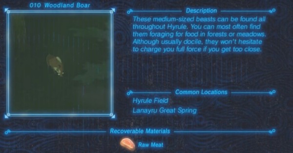 Zelda : Breath of the Wild