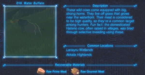 Zelda : Breath of the Wild