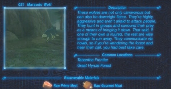 Zelda : Breath of the Wild