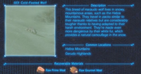 Zelda : Breath of the Wild
