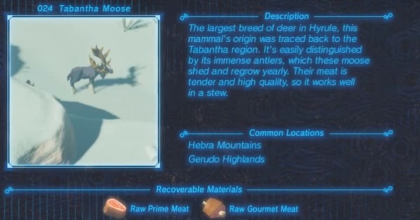 Zelda : Breath of the Wild