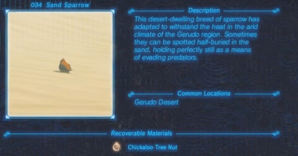 Zelda : Breath of the Wild