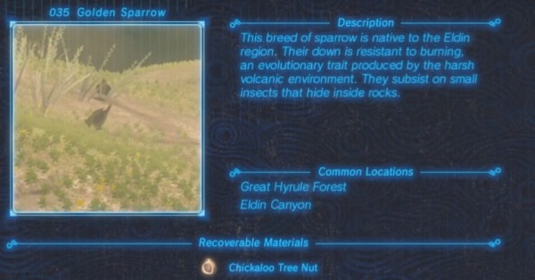 Zelda : Breath of the Wild