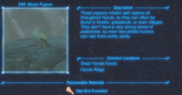 Zelda : Breath of the Wild