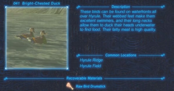 Zelda : Breath of the Wild