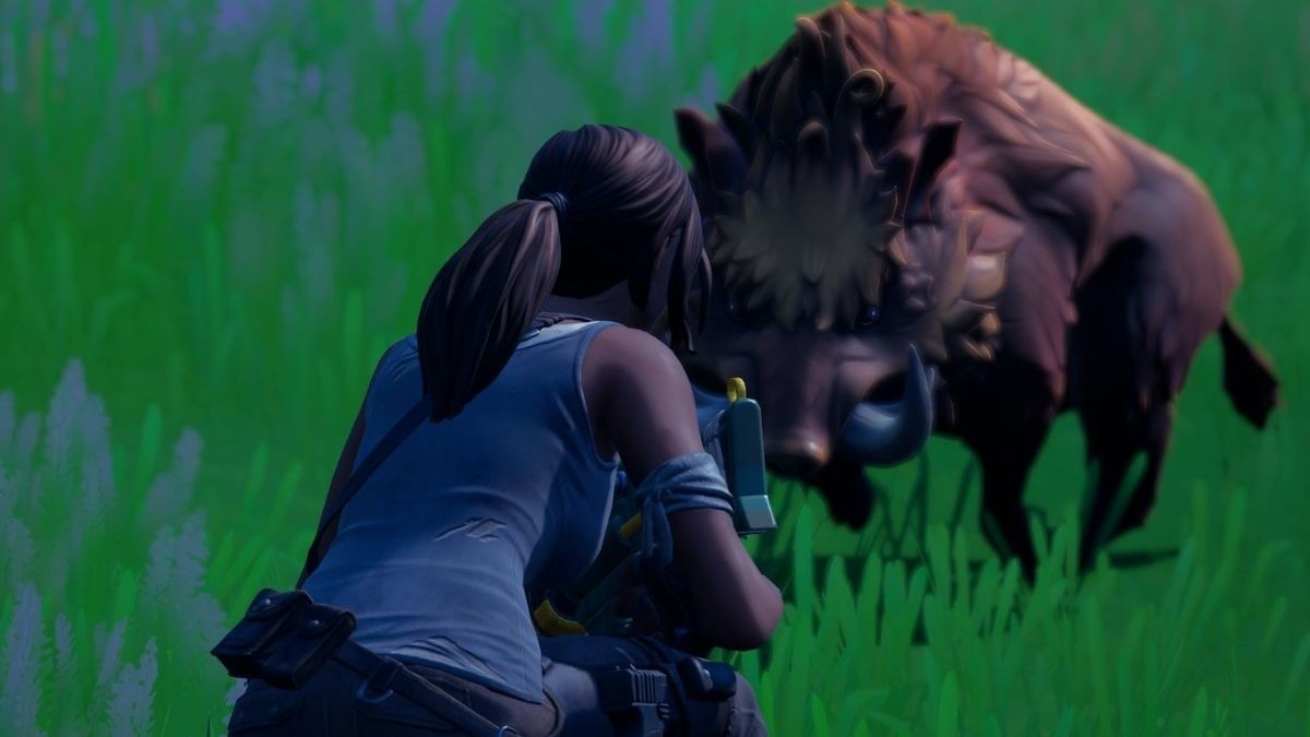 Fortnite: localizaciones de lobos, jabalíes, sapos y pollos, ubicaciones de  los animales - Millenium