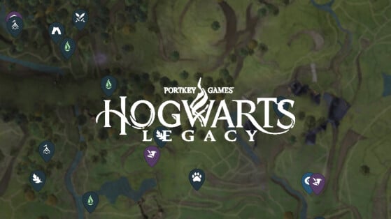 Mapa interactivo en Hogwarts Legacy: Demiguise, Pruebas of Merlin... Dónde encontrar todo en 1 clic