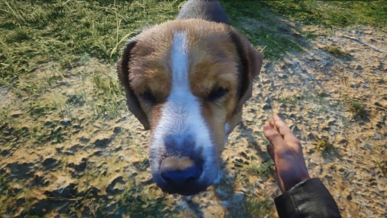 Red Dead Redemption 2 recibe su mejor mod hasta la fecha: ¡Ya podemos adoptar un perro!