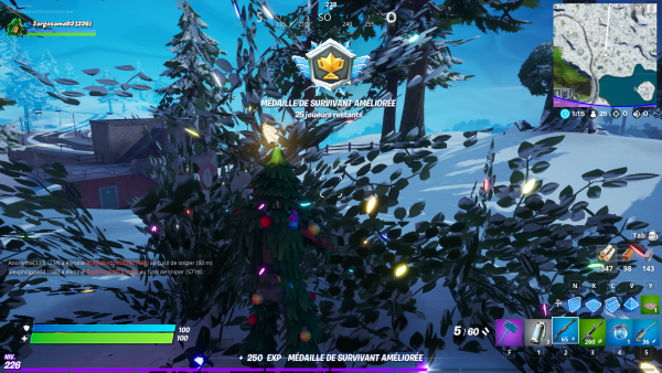Fortnite : Battle royale