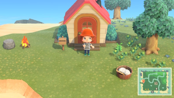 Animal Crossing: New Horizons