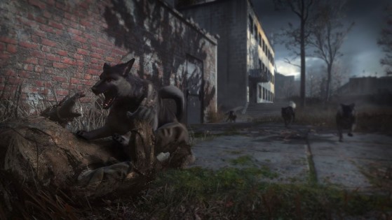 Call of Duty Warzone: Escuchan aullidos en Dam, ¿Nueva racha de bajas de perros en camino?