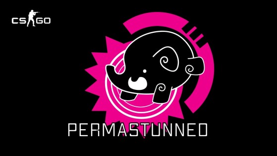 CSGO: Así es Permastunned Gaming, la genial iniciativa de la comunidad en la lucha por la inclusión