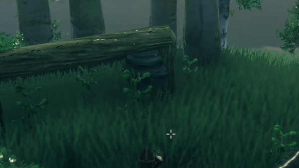 Valheim