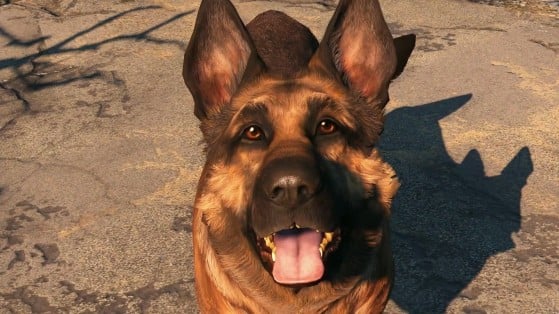 Albóndiga, el perro de Fallout 4, ha muerto en la vida real; pero estará siempre en nuestro corazón