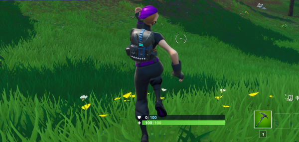 Fortnite : Battle royale
