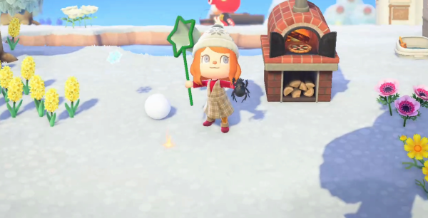 Animal Crossing New Horizons: Lista de bichos de febrero para el hemisferio norte y sur