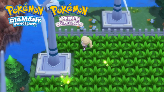 Pokémon Diamante y Perla: Guía sobre cómo utilizar el Pokéradar fácilmente y conseguir un shiny
