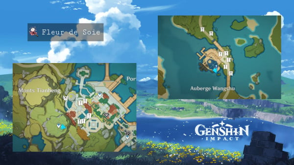 Genshin Impact - Flor de Seda: Dónde encontrarla y para qué sirve -  Millenium