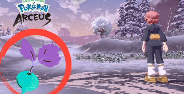 Leyendas Pokémon Arceus: ¿Dónde encontrar Rábano Arenero en el mapa?