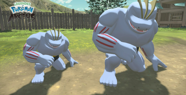 Leyendas Pokémon Arceus: ¿Para qué sirven los objetos de esfuerzo que llenan nuestro inventario?