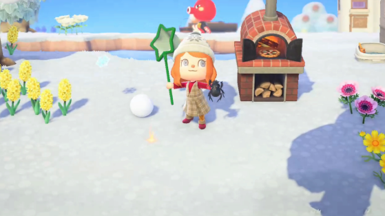 Animal Crossing New Horizons: Todos los bichos de enero del hemisferio norte y sur