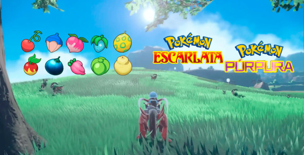 Pokémon Escarlata y Púrpura - Bayas: Lista completa y ubicación de todas las disponibles en Paldea