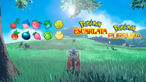 Pokémon Escarlata y Púrpura - Bayas: Lista completa y ubicación de todas las disponibles en Paldea