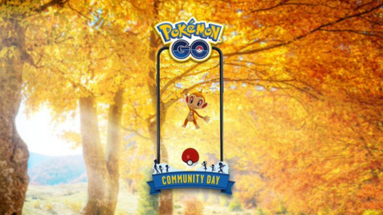 Pokémon GO: Día de la comunidad de noviembre, Chimchar shiny