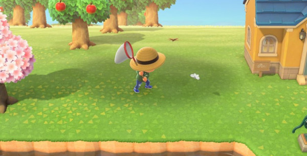 Animal Crossing New Horizons: lista de bichos de agosto para el hemisferio norte y sur