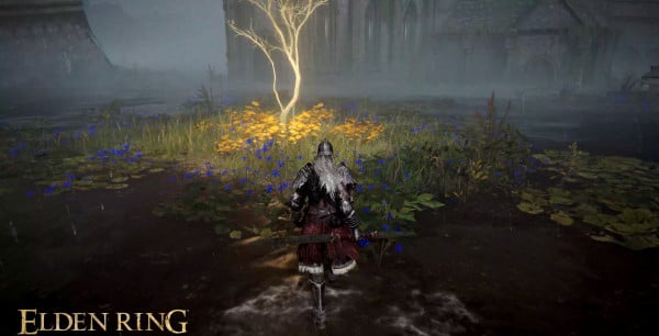 Elden Ring - Semilla Dorada: Guía para encontrar este ítem y conseguir más Viales de Lágrimas