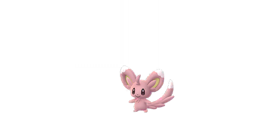 Minccino shiny - Pokémon GO