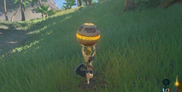 Zelda BotW, todos los santuarios: Sarshii