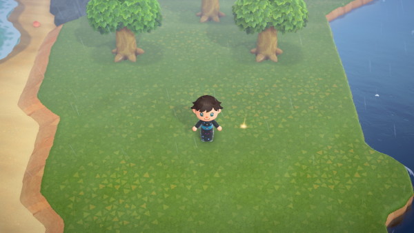 Animal Crossing: New Horizons