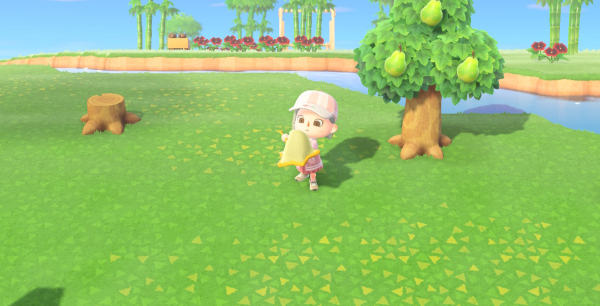 Animal Crossing New Horizons: lista de bichos del mes de mayo en los hemisferios norte y sur