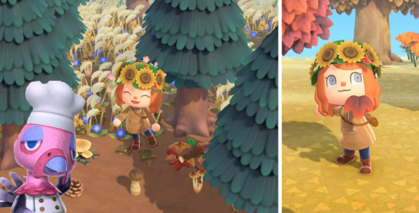 Animal Crossing New Horizons: 4 cosas que hacer en noviembre  y que no podrás hacer después
