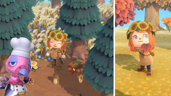 Animal Crossing New Horizons: 4 cosas que hacer en noviembre  y que no podrás hacer después