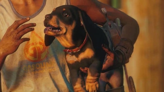 Far Cry 6 enseña en vídeo sus interacciones animales y esto le convierte en candidato a GOTY