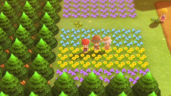 Pokémon Diamante Brillante / Perla Reluciente
