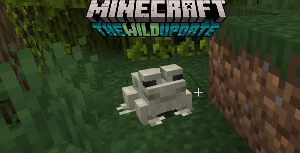 Minecraft - Rana: ¿Dónde encontrarlas y cómo criarlas?