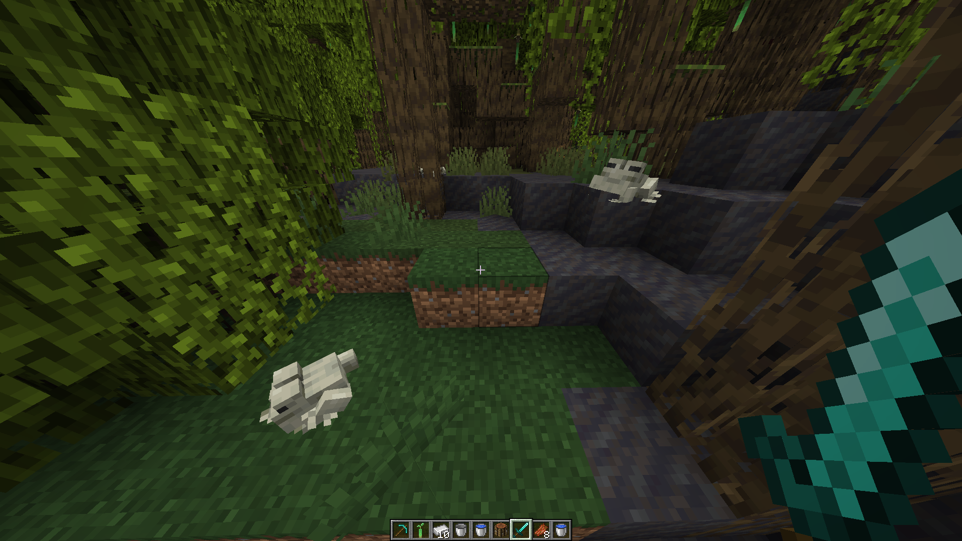 Minecraft - Rana: ¿Dónde encontrarlas y cómo criarlas? - Millenium