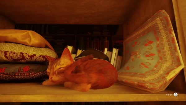 Análisis de Stray: amor felino y ciencia ficción en 'el juego del gato