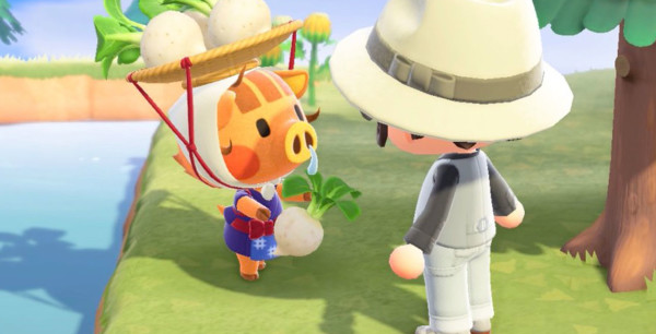 Animal Crossing: New Horizons - Cómo saber cuándo vender y el precio de los nabos