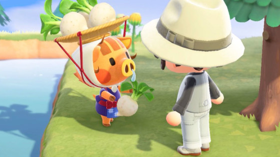 Animal Crossing: New Horizons - Cómo saber cuándo vender y el precio de los nabos