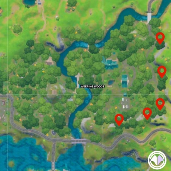 Fortnite : Battle royale