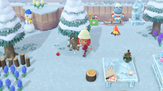 Animal Crossing New Horizons: Todos los bichos de diciembre del hemisferio norte y sur