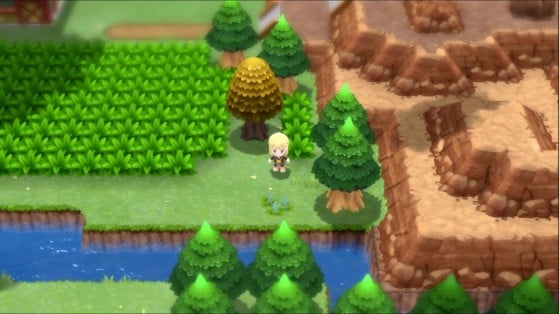 Forja Fuego - Pokémon Diamante Brillante / Perla Reluciente