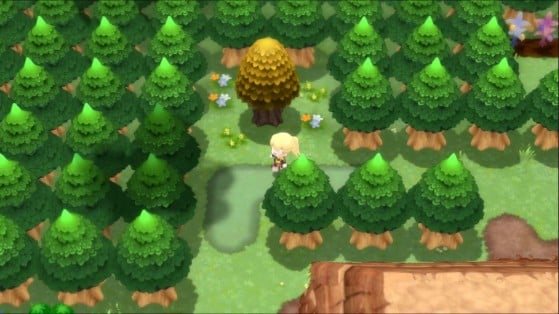 Bosque Vetusto(exterior) - Pokémon Diamante Brillante / Perla Reluciente